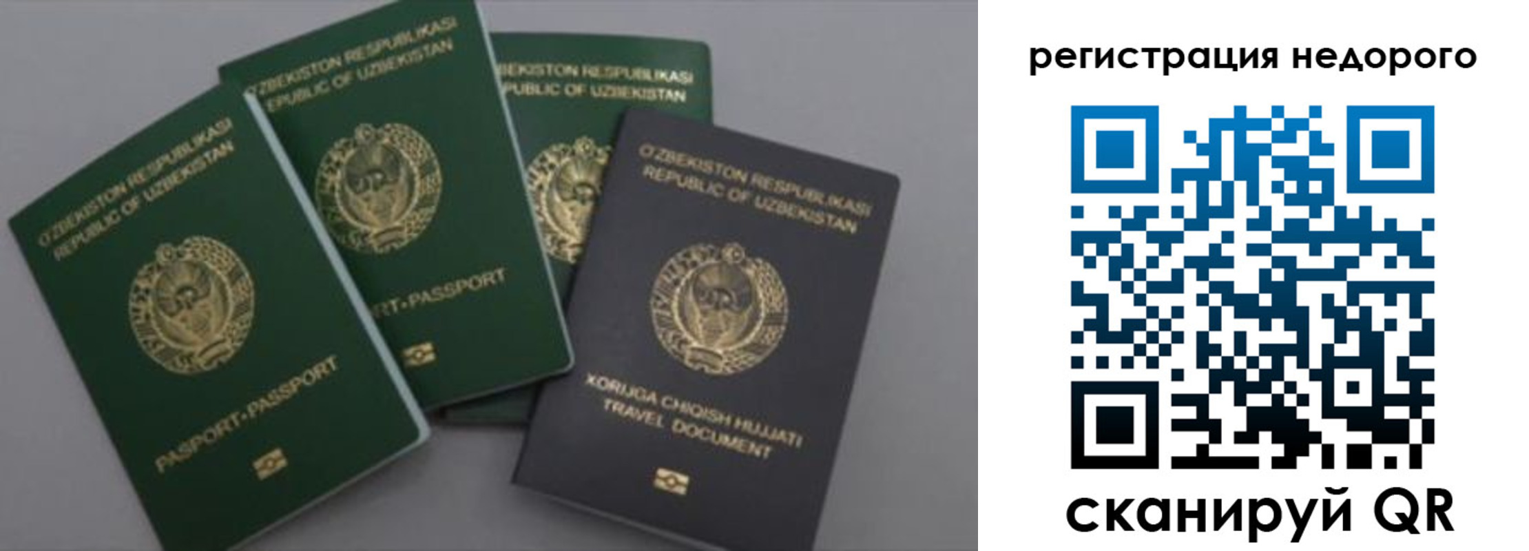 пропишу в квартире в Зеленоградске